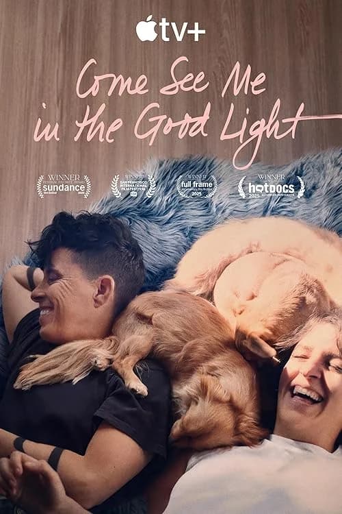 Come See Me in the Good Light film posteri