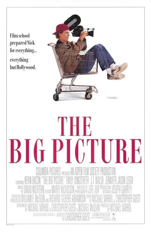 The Big Picture film posteri